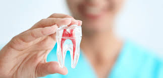 Root Canal Specialist in Bhopal